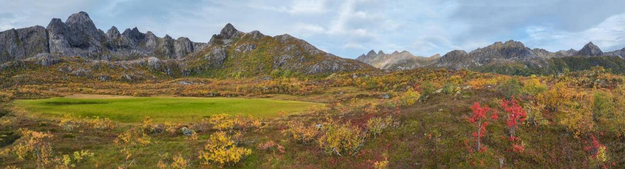Wildlife Panorama Lofoten Bostad Екстериор снимка