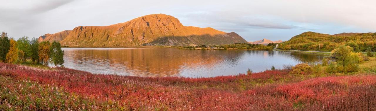 Wildlife Panorama Lofoten Bostad Екстериор снимка