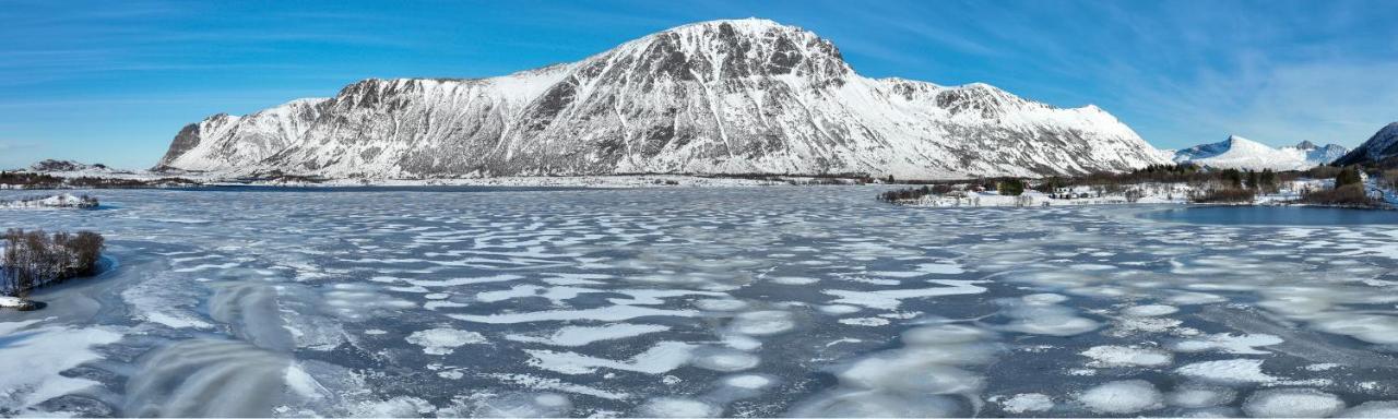 Wildlife Panorama Lofoten Bostad Екстериор снимка
