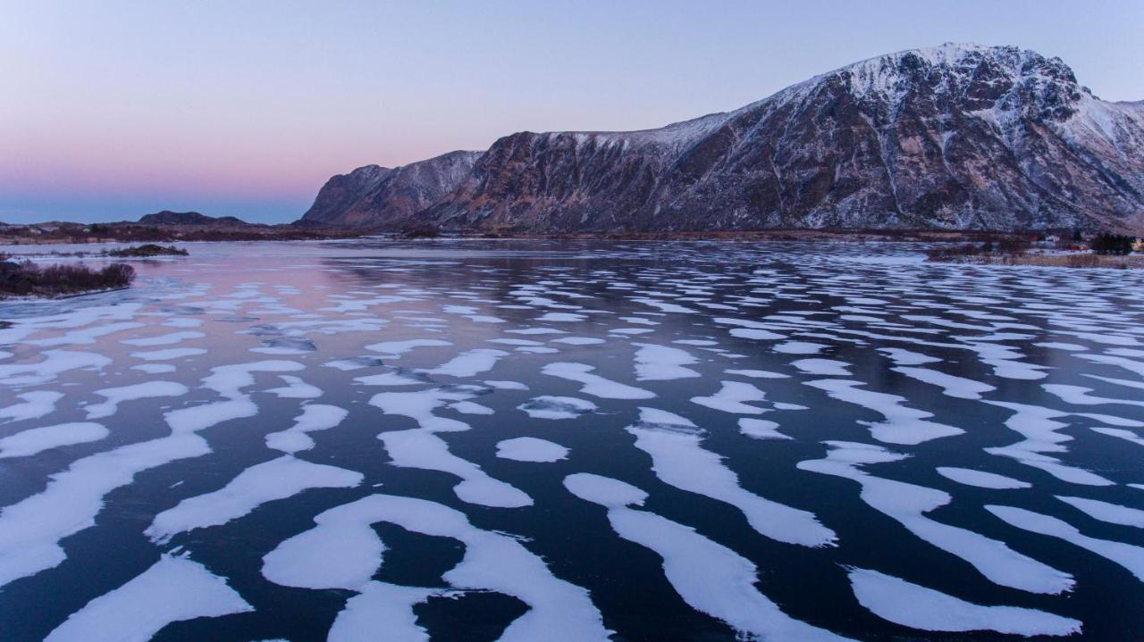 Wildlife Panorama Lofoten Bostad Екстериор снимка