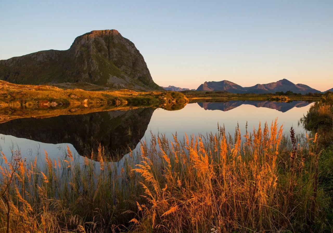 Wildlife Panorama Lofoten Bostad Екстериор снимка